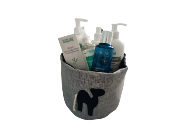 MOLINE - Coffret Maxi Garçon