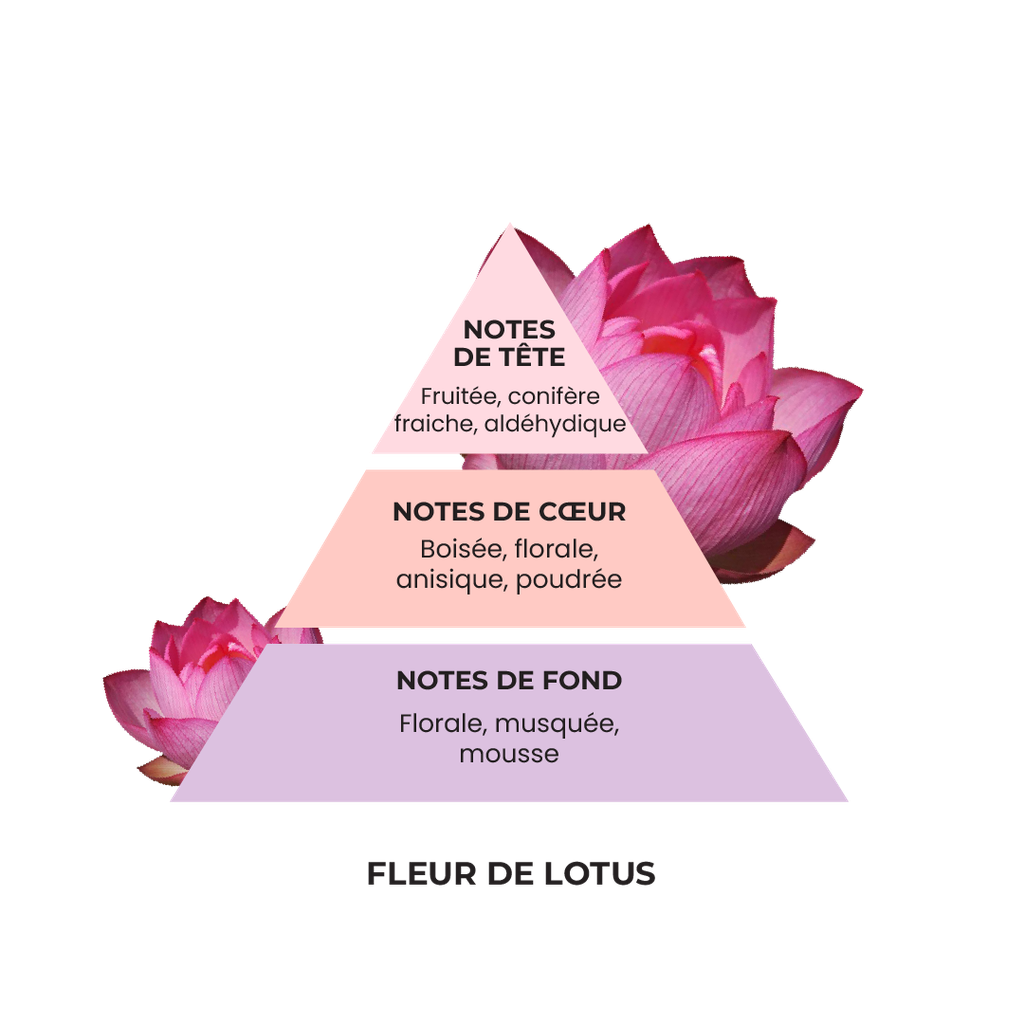 Ecovillage - Eau De Linge Fleur De Lotus 850 Ml 2
