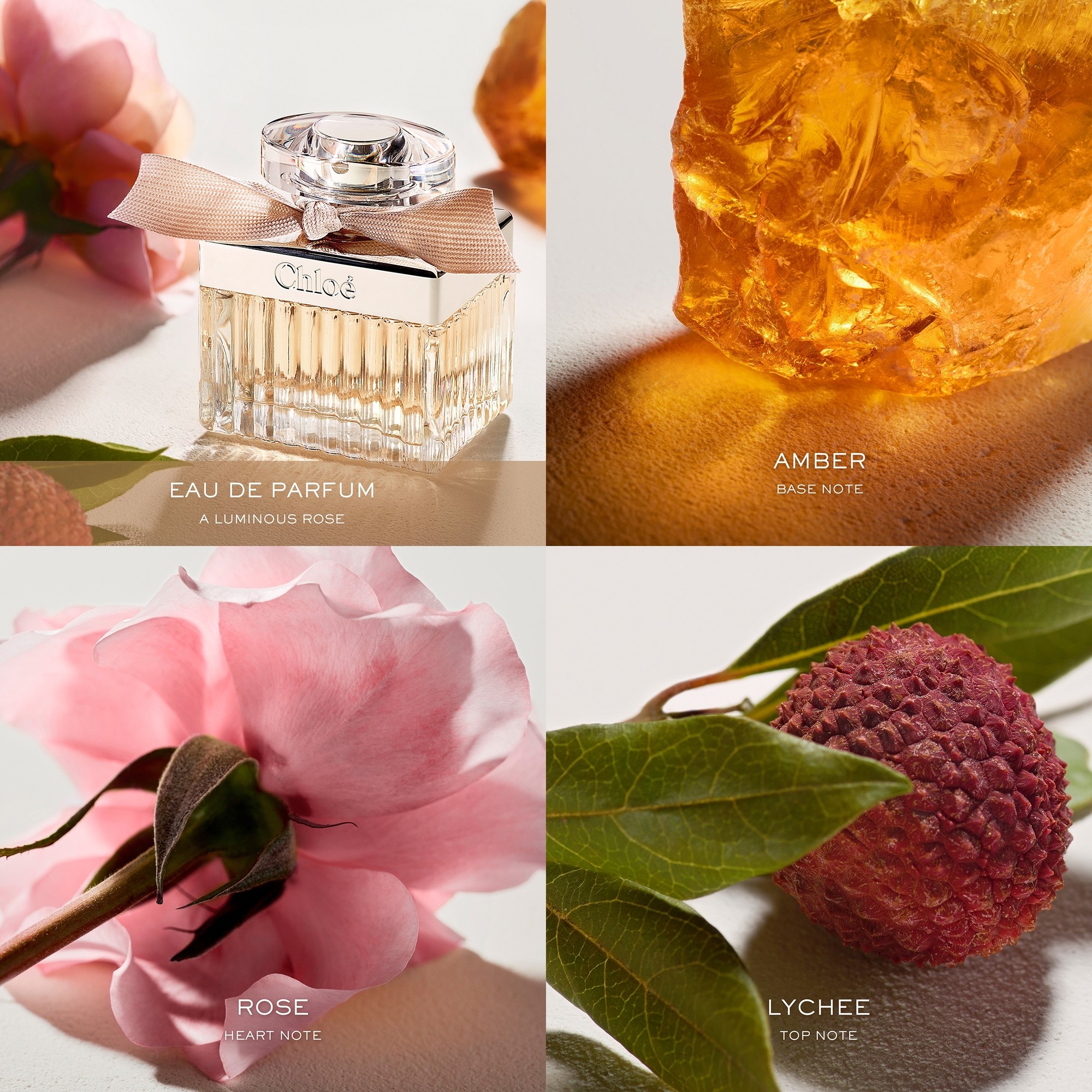 Chloé - Eau De Parfum 75Ml 4