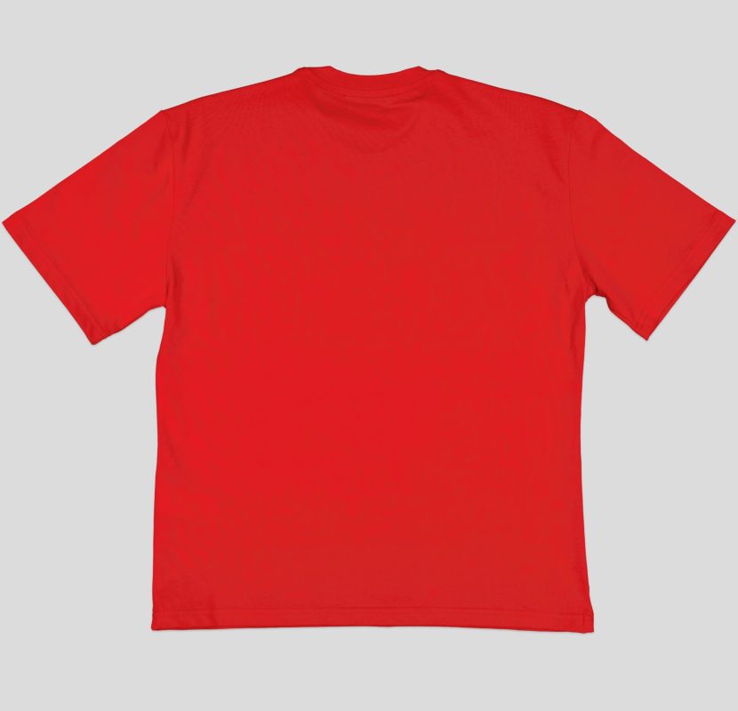 "White Pigeon - T-SHIRT FEMME REGULAR FIT JERSEY ""Early 2000's "" - Rouge" 4