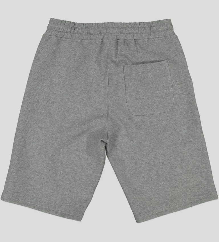 White Pigeon - SHORT HOMME scuba - Gris 4
