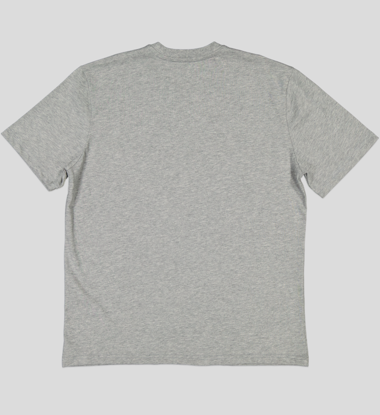White Pigeon - TSHIRT HOMME 100% COTON COL V - GRIS CHINE 2