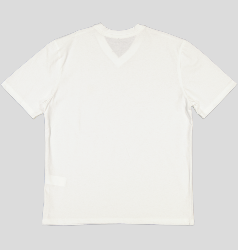 White Pigeon - TSHIRT HOMME 100% COTON COL V - BLANC 4