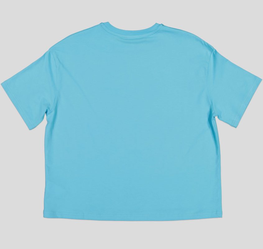 White Pigeon - T-SHIRT FEMME 100 % COTON - Bleu Ciel 4