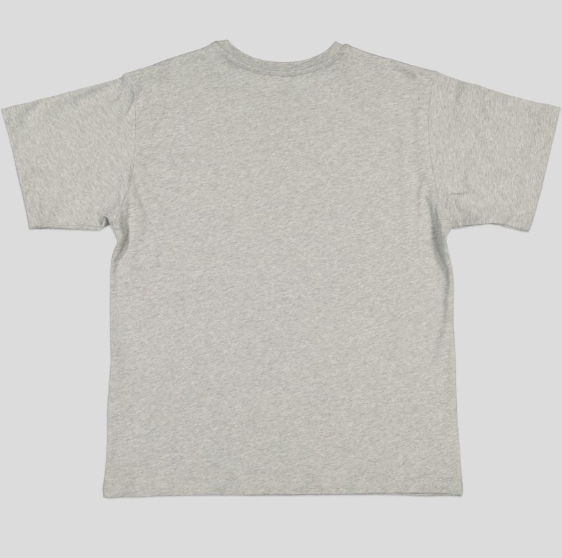 "White Pigeon - T-HOMME COL ROND 100 % COTON ""Holiday Resart"" - GRIS" 4