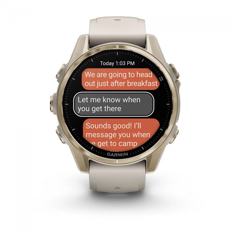 GARMIN - Fenix 8 AMOLED Sapphire 43 mm - GPS Multisports - Gris Claire 13
