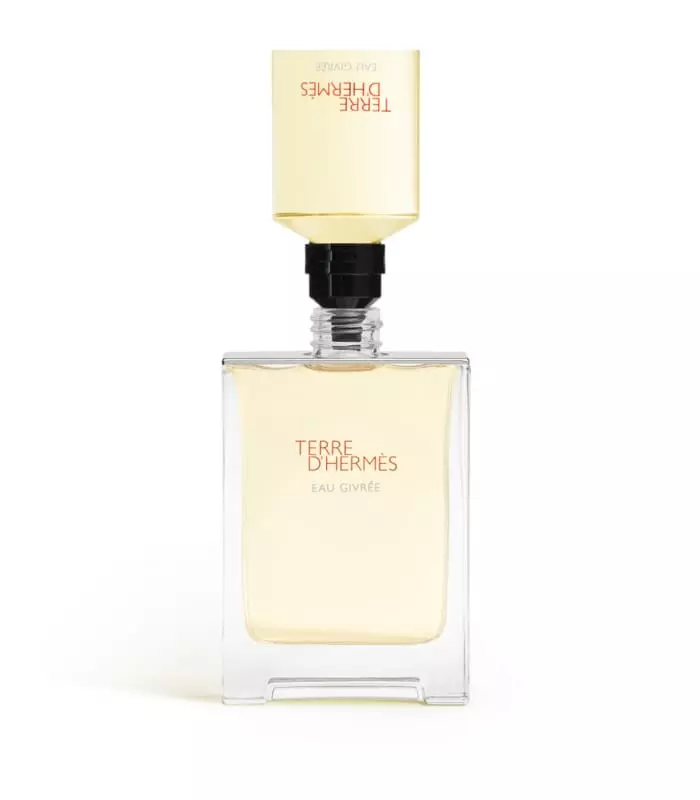 Hermès - Terre D'Hermès Givree 100Ml 2